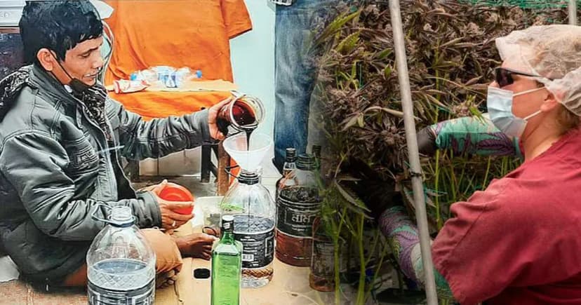 আবাসিক ভবনে গোপন মাদক ল্যাব, অনলাইন অর্ডারে দেশ-বিদেশে পাচার