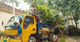 শেরপুরের নার্সারির চারায় সাজে চট্টগ্রামের পাহাড়