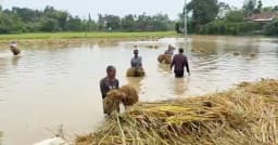 কালবৈশাখীর তাণ্ডবে দীঘিনালায় কৃষকের স্বপ্ন তছনছ