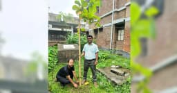 ভালুকা হাসপাতাল প্রাঙ্গণে কাঠবাদামের চারা রোপণ করলেন ডা. মাসুদ