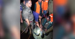 কয়রায় উদ্ধার ৩০ কেজির সামুদ্রিক কচ্ছপ, নদীতে অবমুক্ত