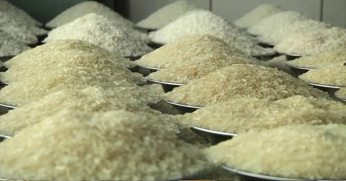 ভারতীয় চাল আসতেই বাজারে প্রভাব, কমছে দাম