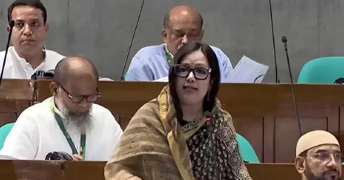 ১৫ বছরে পুঁজিবাজার থেকে লুট ‘১ লাখ কোটি টাকা’: রুমিন ফারহানা