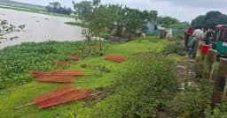 ডেপুটি স্পিকারের উদ্যোগে লাগানো ৩৫টি গাছের চারা উপড়ে ফেলল দুর্বৃত্তরা