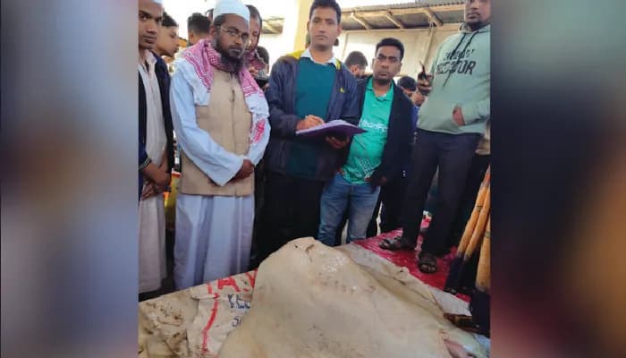 পিরোজপুরে শাপলা পাতা মাছ বিক্রির দায়ে তিন ব্যবসায়ীকে জরিমানা