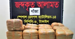 ১০০ কেজি গাঁজাসহ কৃষকদল নেতা গ্রেপ্তার