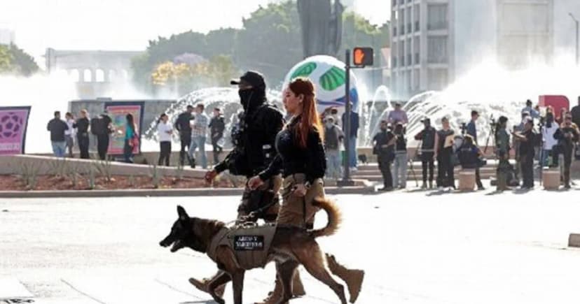 বিশ্বকাপ সামনে রেখে প্রায় ১ লাখ নিরাপত্তাকর্মী নিয়োগ দেবে মেক্সিকো