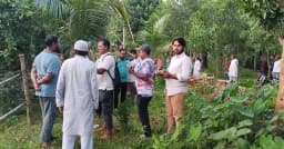 মির্জাপুরে একই জমির মালিকানা দাবি, আদালতে দুই পক্ষের মামলা