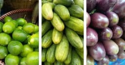 লেবু-শসার দাম কমলেও বেগুনের দাম চড়া