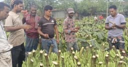 দশমাইলের কলার হাটে অতিরিক্ত খাজনা আদায়ের অভিযোগ কৃষকদের