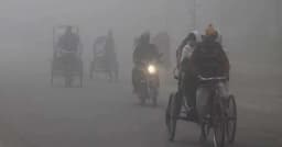 ৩ বিভাগে ঘন কুয়াশার আভাস