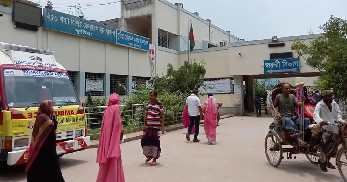 দৌলতপুরে সশস্ত্র হামলা, স্বেচ্ছাসেবক দল নেতাসহ ১০-১২ জন গুলিবিদ্ধ