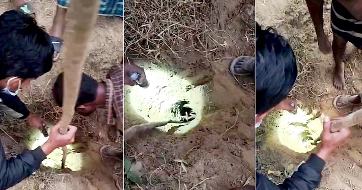 রাউজানে নলকূপে গর্তে পড়ে গেছে ৫ বছরের শিশু, চলছে উদ্ধার অভিযান