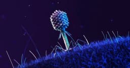 মহাকাশের আশ্চর্য ক্ষমতা নিয়ে ফিরল জীবাণু