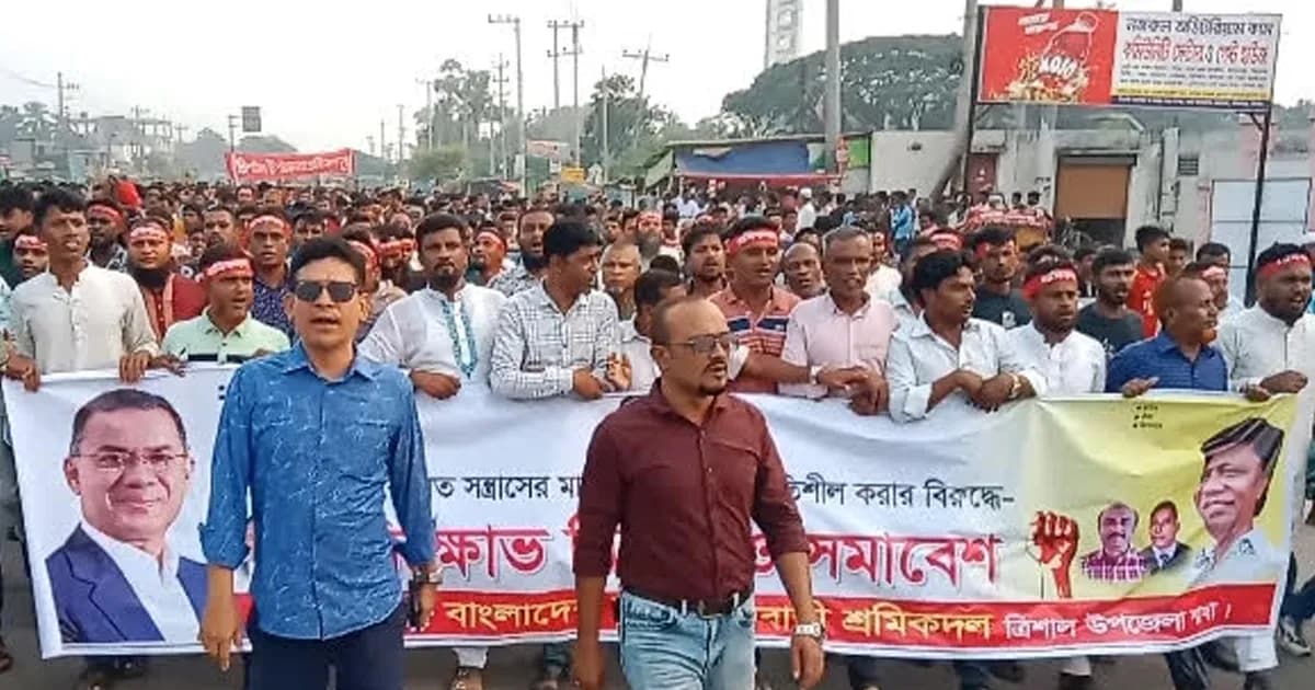 ত্রিশালে সন্ত্রাস-নৈরাজ্যের প্রতিবাদে শ্রমিক দলের বিক্ষোভ