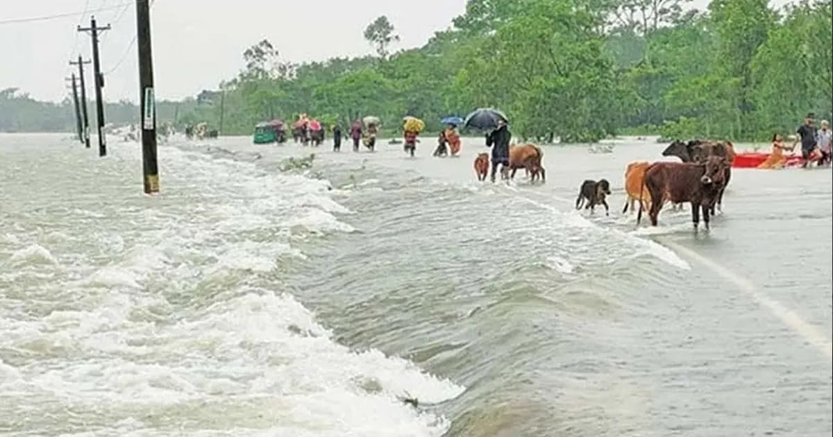 ৫ জেলায় বন্যার শঙ্কা, চার নদীর পানি বিপৎসীমার ওপরে