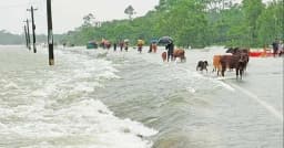 ৫ জেলায় বন্যার শঙ্কা, চার নদীর পানি বিপৎসীমার ওপরে
