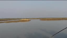 নেত্রকোণায় হাওড় চলাচলে বাধা, ৬ জনের বিরুদ্ধে তদন্ত