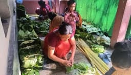 মৌলভীবাজারের পান চাষে আগ্রহ হারাচ্ছেন খাসিয়ারা