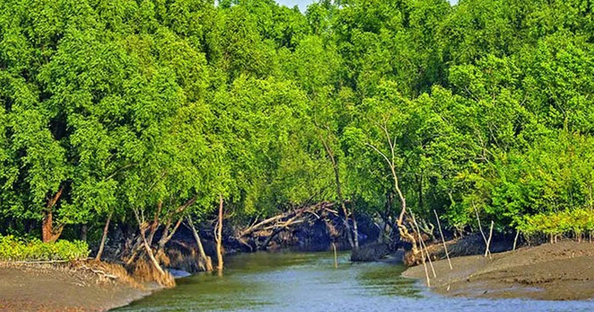৩ মাসের জন্য বন্ধ হচ্ছে সুন্দরবনের দুয়ার