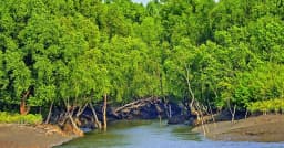 ৩ মাসের জন্য বন্ধ হচ্ছে সুন্দরবনের দুয়ার