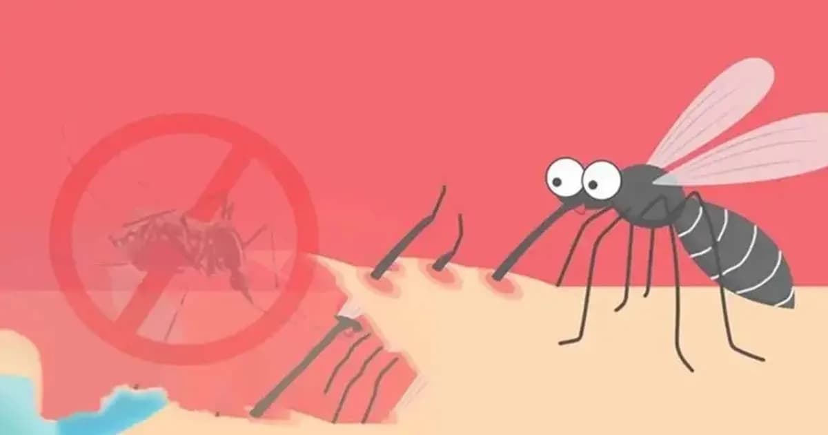 ২৪ ঘণ্টায় ডেঙ্গুতে আরও ৬ জনের মৃত্যু