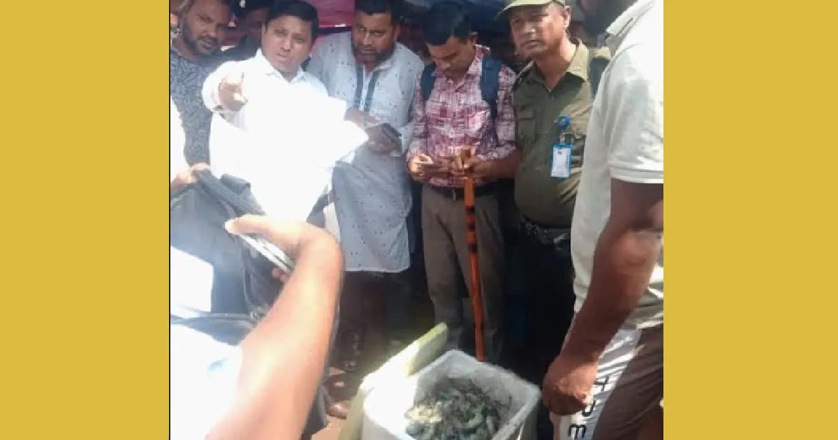ব্রাহ্মণবাড়িয়ায় চিংড়িতে জেলি মেশানো প্রতারণায় লাখ টাকার জরিমানা