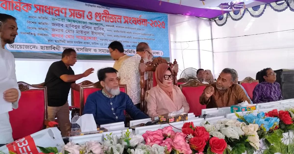 ‘পতিত স্বৈরশাসক উন্নয়নের নামে নিজেদের পকেট ভারি করেছে’