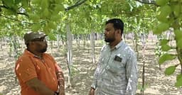 তরুণ উদ্যোক্তার আঙুর বাগান, সরকারি সহযোগিতা না পাওয়ার অভিযোগ