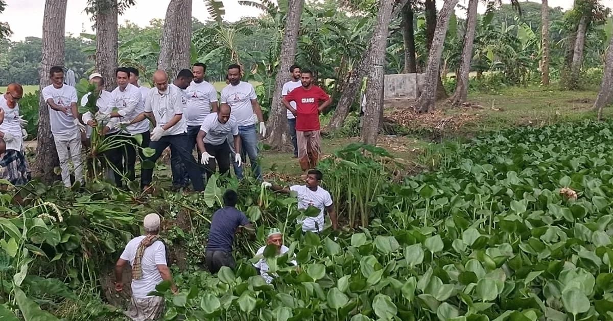 পরিবেশ দিবসে পিরোজপুরে পরিচ্ছন্নতা অভিযান শুরু