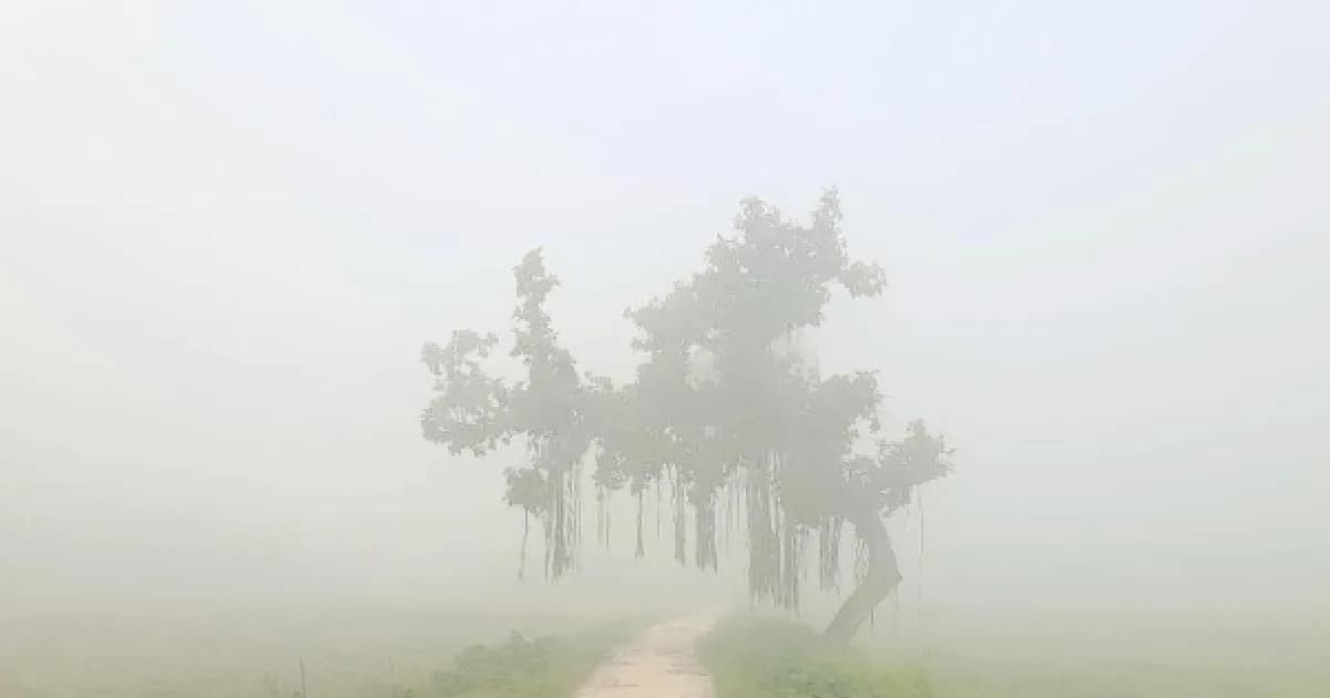 দিনাজপুরে শীতের দাপট, তাপমাত্রা ১৩ ডিগ্রি