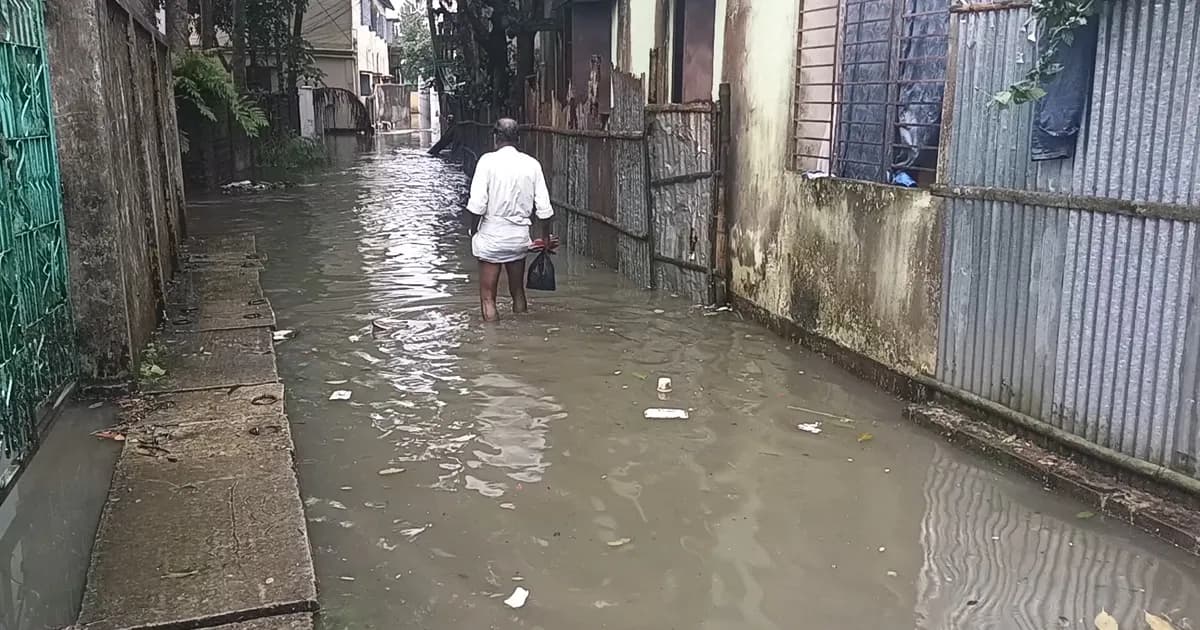 টানা ভারী বৃষ্টিতে মৌলভীবাজারে জলাবদ্ধতা, পানিবন্দি শতাধিক মানুষ