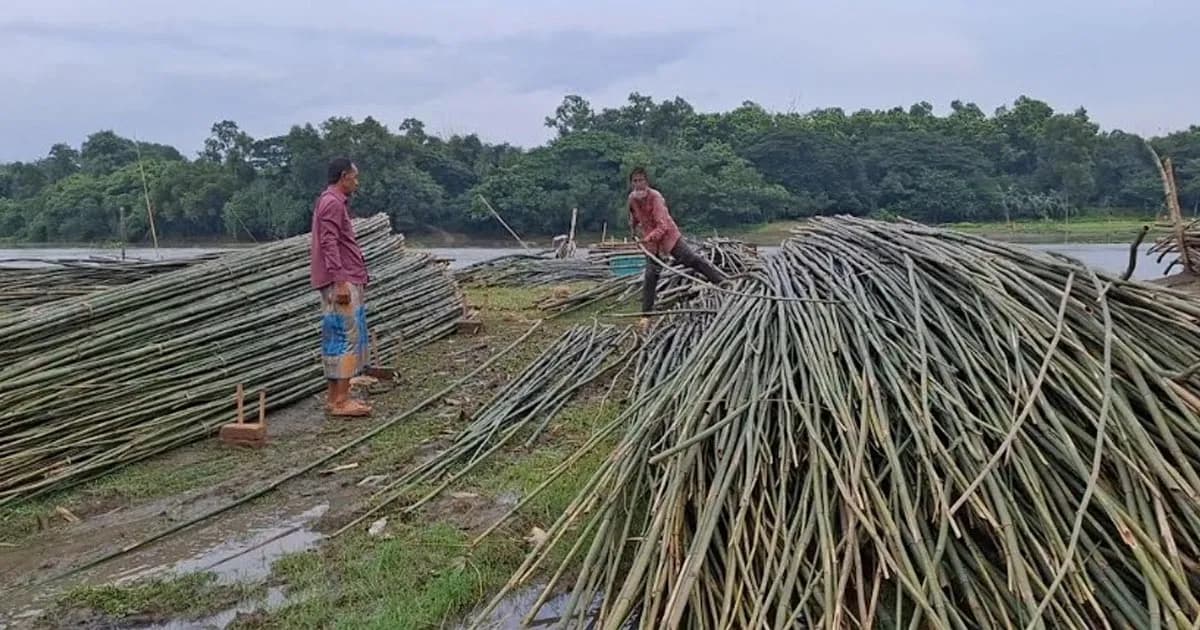 শ্রীপুরে গোসিঙ্গা খেয়া ঘাটে দেশের অন্যতম বৃহৎ বাঁশের হাট