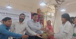 দোহারে ৩৫০টি চারা গাছ নিয়ে বাড়ি ফিরল শিক্ষার্থীরা