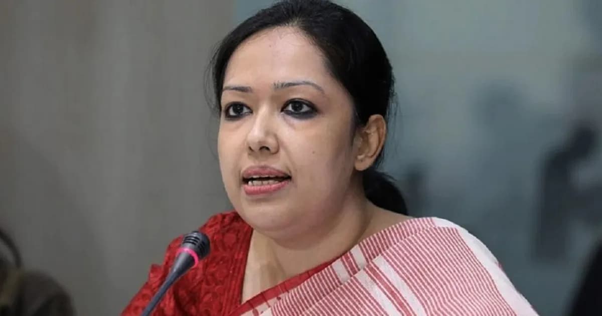 জোর করে ঐকমত্য চাপানো সম্ভব নয়: রুমিন ফারহানা