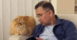 জেবু কোন প্রজাতির বিড়াল, বৈশিষ্ট্য কী?