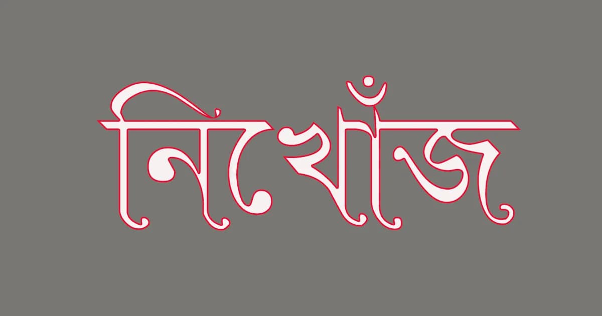 নিখোঁজের ৪ মাস পর গৃহবধূর সন্ধ্যান মিলল ভারতে