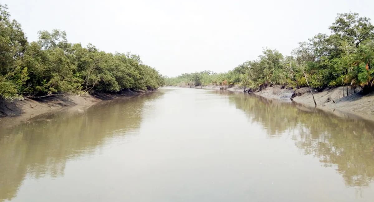 সুন্দরবন দস্যুমুক্ত করতে জেলে-বাওয়ালীদের সঙ্গে মতবিনিময় সভা