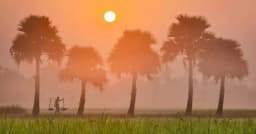 মাঘের শেষে তাপমাত্রা নিয়ে যে দিল আভাস আবহাওয়া অফিস