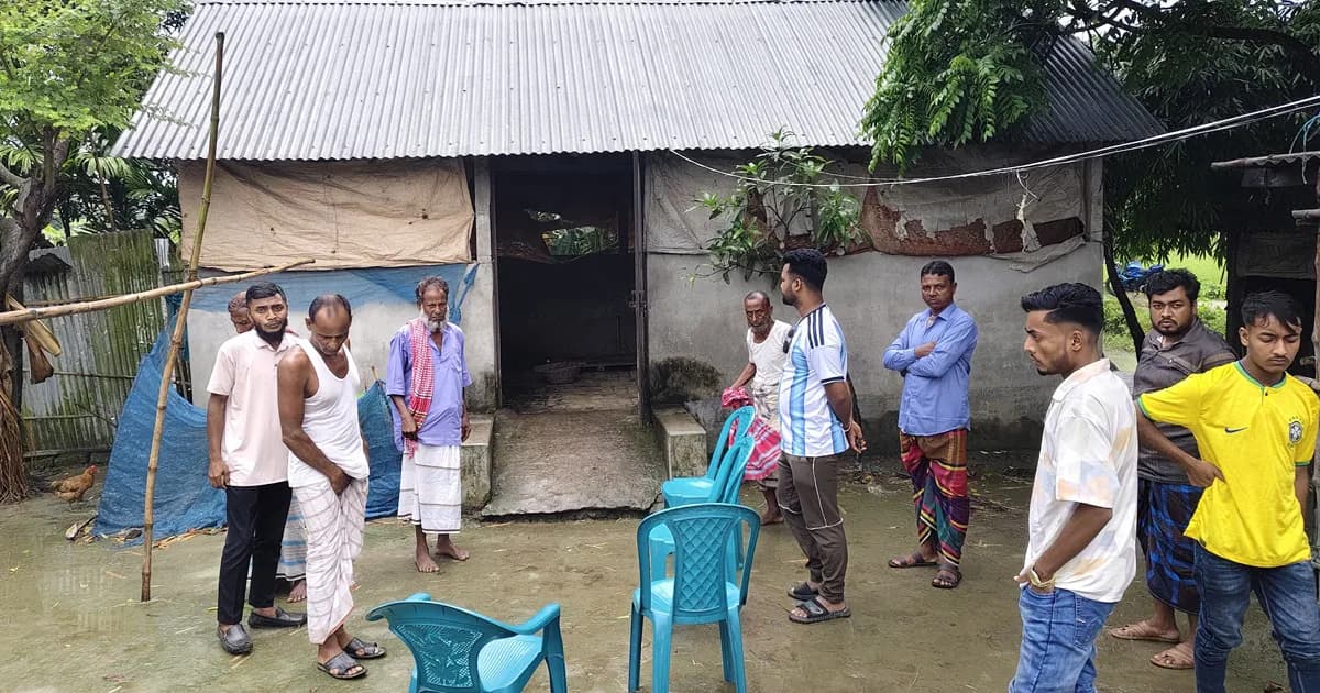 মধ্যরাতে দুই ভাইয়ের ছয় গরু চুরি, নিঃস্ব পরিবারে ভেঙে গেল স্বপ্ন