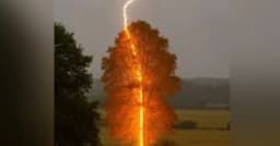 ধর্মপাশায় হাওরে ধান কাটতে গিয়ে বজ্রপাতে কলেজছাত্র নিহত