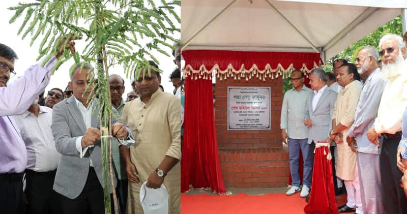 পদ্মা সেতু জাদুঘরের ভিত্তিপ্রস্তর, শুরু বৃক্ষরোপণ কর্মসূচি