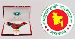 স্বাধীনতা পুরস্কারের জন্য শিক্ষাপ্রতিষ্ঠানে মনোনয়ন চেয়েছে সরকার