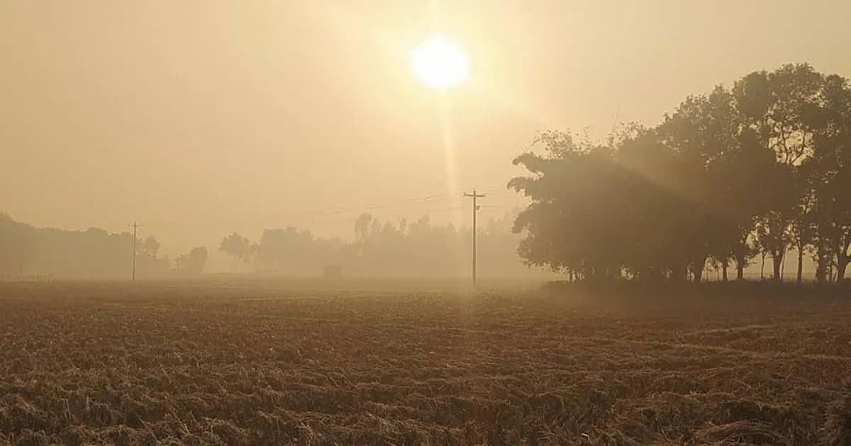 পঞ্চগড়ে ক্রমেই বাড়ছে শীতের দাপট, তাপমাত্রা নামল ১২ ডিগ্রিতে