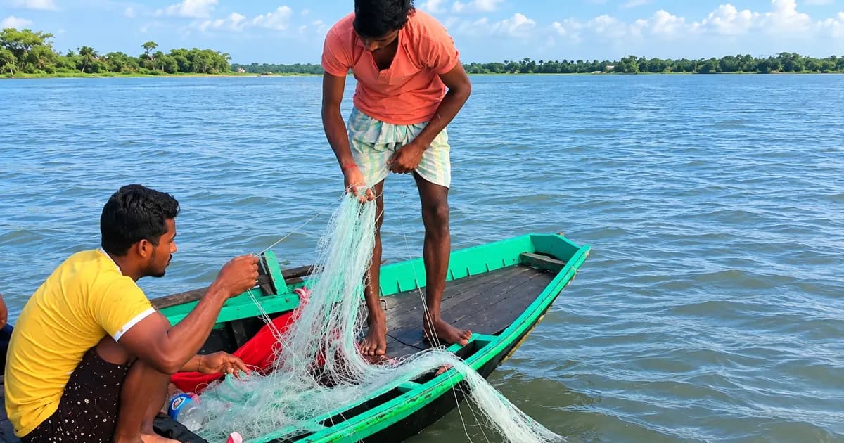 ইলিশের বদলে জেলেদের জালে উঠছে শুধুই হতাশা