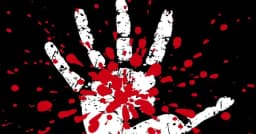 মোহাম্মদপুরে মা-মেয়েকে কুপিয়ে হত্যা, পলাতক গৃহকর্মী