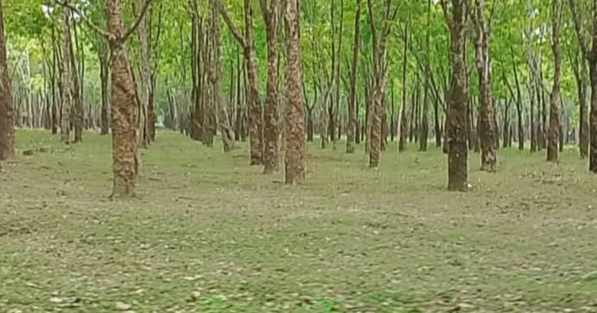 ফুলবাড়ীয়ায় উচ্ছ্বাস সন্তোষপুরে ইকোপার্ক ঘোষণা