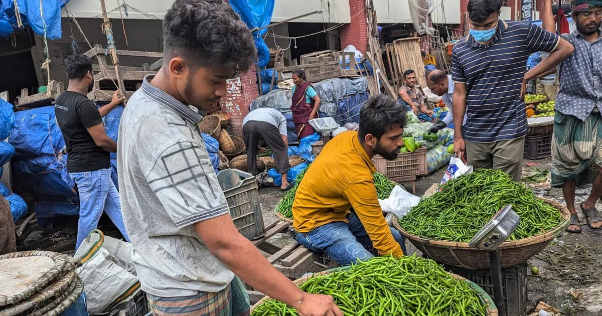 বৃষ্টিতে বাজারে ভাটা, কাঁচামরিচের কেজি ৩২০ টাকা