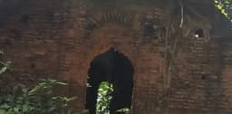 বাগাতিপাড়ার ৩০০ বছরের মসজিদটি হারাচ্ছে ইতিহাসের স্মৃতি