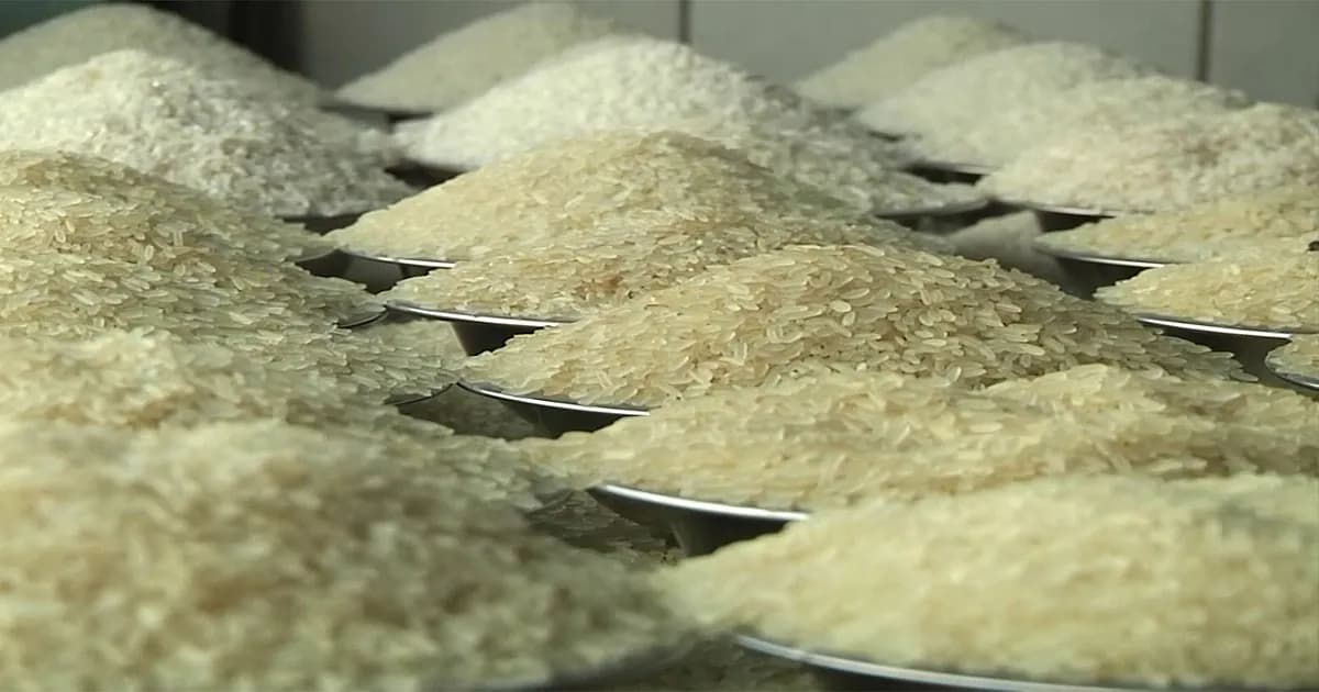 দেশে কমেছে চালের দাম, বেড়েছে সরবরাহ